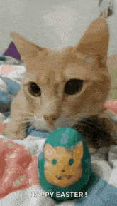 Happy Easter Images2022 Cute Cat GIF