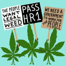 The People Want Legal Weed Pass Hr1 GIF - The People Want Legal Weed Pass Hr1 We Need A Government To Work For The People GIFs