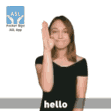 Asl Sign GIF - Asl Sign Language GIFs