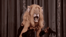 Lion Cat Girl GIF - Lion Cat Girl GIFs