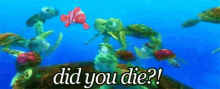 Turtles Did You Die GIF - Turtles Did You Die Nemo GIFs