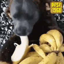 Pfsf1968 Banana GIF