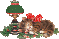 Micio Natalizio Christmas Cat Sticker - Micio Natalizio Christmas Cat Buone Feste Stickers