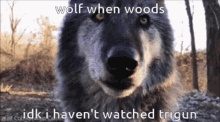 Wolfwood Trigun GIF - Wolfwood Trigun Wolf GIFs