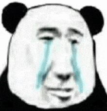 a panda bear with tears running down its face .