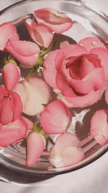 Rose In Water Pink5 GIF - Rose In Water Pink5 GIFs
