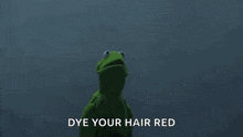 Kermit The Frog Conscience GIF - Kermit The Frog Kermit Conscience GIFs