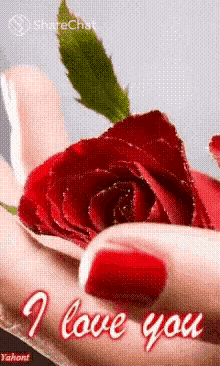 I Love You लालगुलाब GIF - I Love You लालगुलाब Rose GIFs