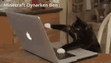 Minecraft Oynarken Ben GIF