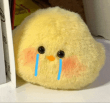 a stuffed chicken with tears coming out of its eyes is sitting on a table next to a book .