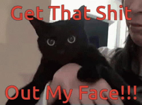 Angry Emoji Cat GIF - Angry Emoji Cat - Discover & Share GIFs