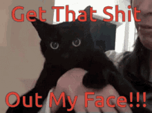 Pissed Pissed Cat GIF - Pissed Pissed Cat Angry Cat GIFs