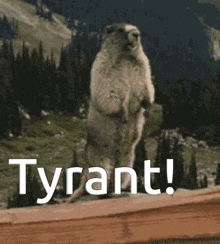 a ground squirrel standing on its hind legs with the word tyrant in white letters behind it