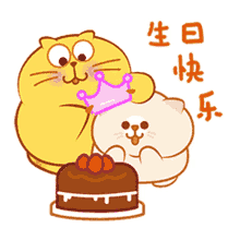 cake kitty