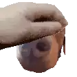 a close up of a person holding a dog 's nose .