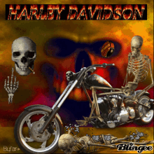 Harley Davidson Skull GIF - Harley Davidson Skull Funny GIFs