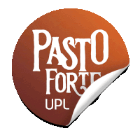 Pastoforte Pasto Forte Sticker - Pastoforte Pasto Forte Upl Stickers