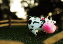 Excited Cow GIF