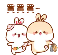 a couple of rabbits standing next to each other with chinese writing