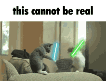 this cannot be real cat star wars lightsaber esmbot