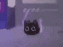 Cat Dance GIF - Cat Dance Jelly Bean GIFs