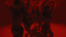 a woman in a red jacket is standing in front of a red background with her hands outstretched .