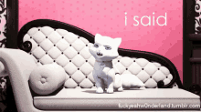 a white cat is sitting on a white couch with a pink background that says " i said "