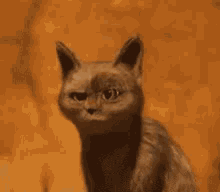 a cat is standing in front of a wall with a piece of food in its mouth .