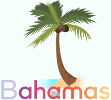 an illustration of a palm tree and the word bahamas below it