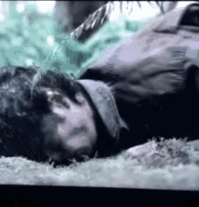 GIF