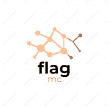 Flagmc GIF