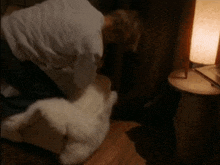 a man kneeling down next to a lamp playing with a stuffed animal