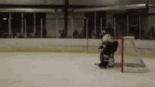 a hockey goalie with the number 2 on his jersey stands on the ice