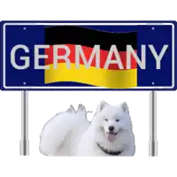 a white dog is sitting under a sign that says " germany "