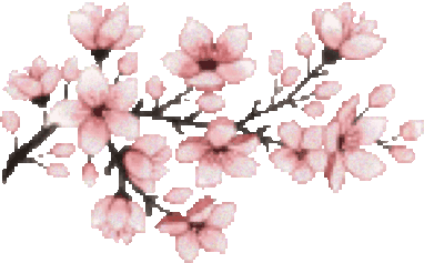 Blossom Sticker - Blossom - Discover & Share GIFs