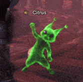 a green monster in a video game has the name citrus above it