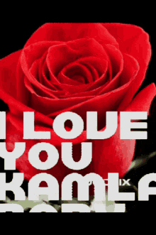 I Love You Kamla GIF - I Love You Kamla GIFs
