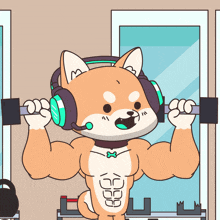 a dog wearing headphones is lifting a barbell