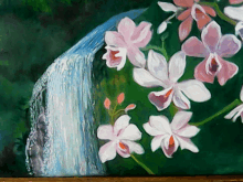 Orchids And Falls GIF