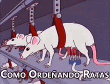 de ratas
