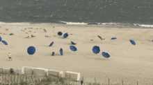 umbrellas beach wind migration