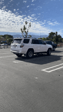 a white suv is parked in a parking lot with a tree in the background