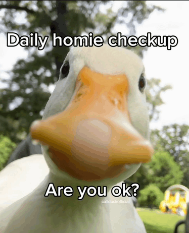 Homie Daily Homie Check Up GIF - Homie Daily homie check up What's up ...