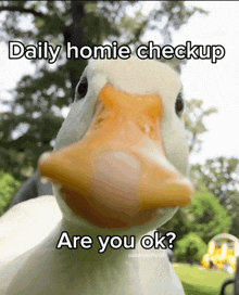 Homie Daily Homie Check Up GIF - Homie Daily Homie Check Up What'S Up GIFs