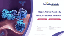 Model Organism Antibody GIF - Model Organism Antibody GIFs