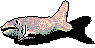 a pixel art drawing of a fish with a shadow on a white background .