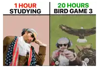 a picture of a man talking on a cell phone next to a picture of a bald eagle with the words 20 hours bird game 3