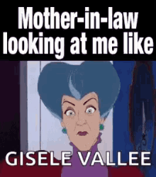 In Laws Mother In Law GIF