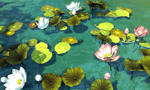 Ocean Pond GIF - Ocean Pond Anime GIFs