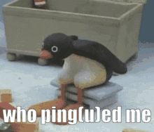 Pingu Discord GIF